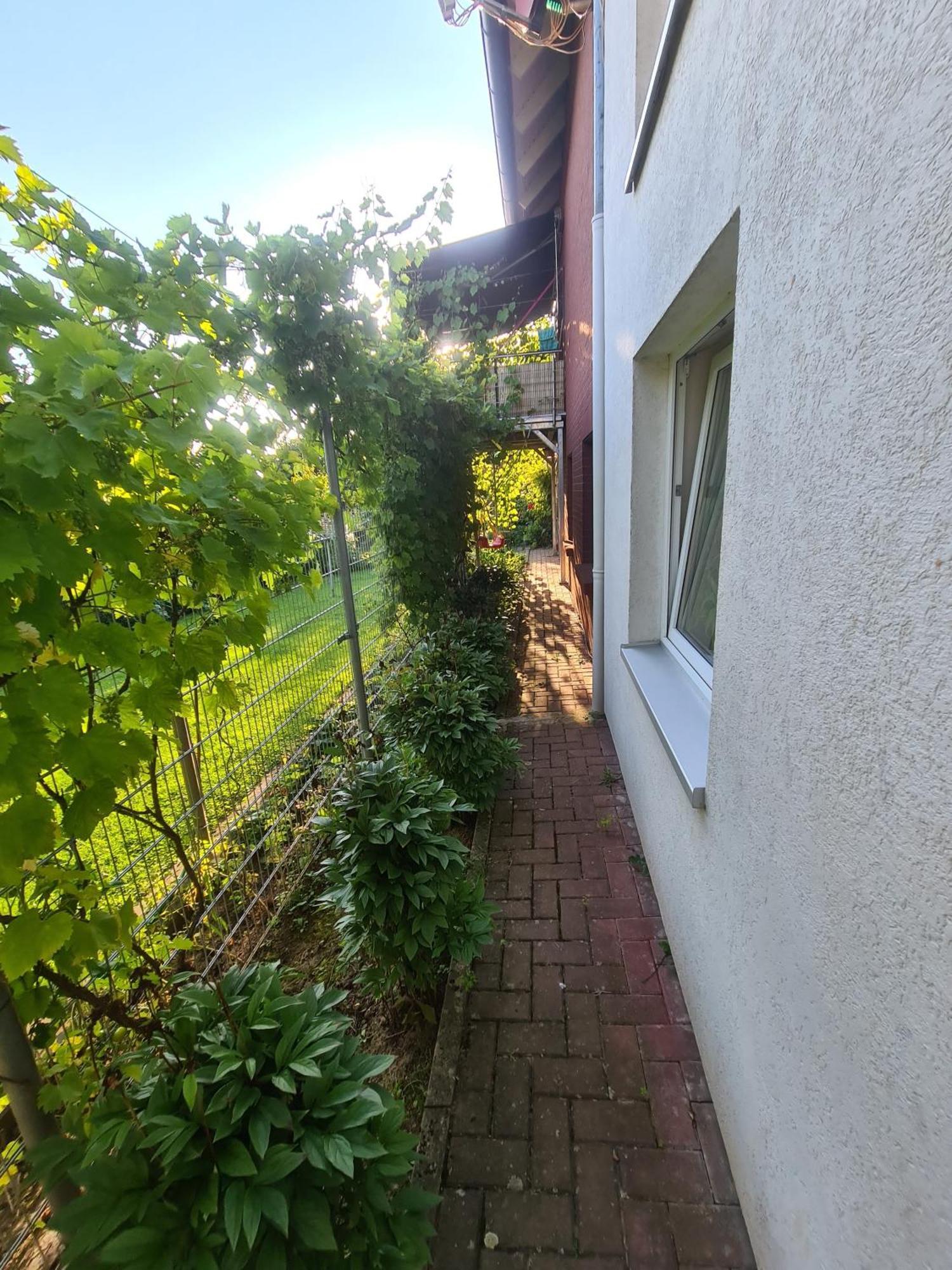 Suedharzperle Apartman Bad Lauterberg Kültér fotó